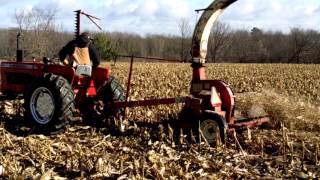 Allis Chalmers D15 Chopping Corn Stalks 2 [upl. by Ellehcyt]