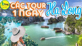 Ha Long Bay  Wonder of the World  one of Vietnams top destinations [upl. by Richelle258]