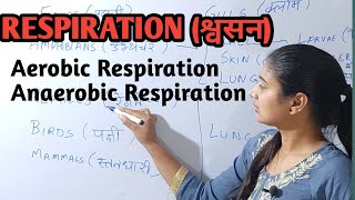 Respiration श्वसन  Aerobic Respiration  Anaerobic Respiration  BiologyScienceBiology in hindi [upl. by Jenness]