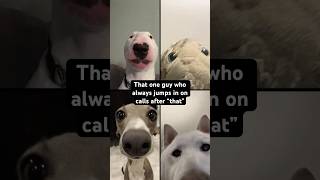 Poor Guys don’t know what hit ‘em 😭argument dogs facetime [upl. by Enohs]