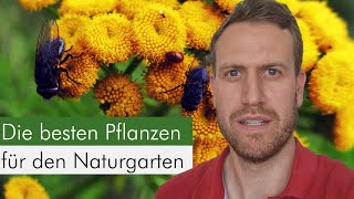 Diese 5 InsektenPflanzen dürfen in deinem Garten nicht fehlen Für Gartenboden sonnig trocken [upl. by Olegnaed789]