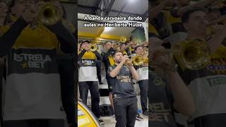 A banda carvoeira fazendo a festa no estádio Heriberto Hülse no Criciúma x Atlético Goianiense [upl. by Botsford]