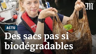 Les sacs « biodégradables » le sontils vraiment [upl. by Pip]