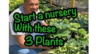 Start your nursery with these three plants 🌱🌱 Backyard Growing Starting a beginner nursery [upl. by Artcele]