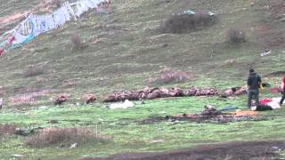 sky burial ceremony in tibet [upl. by Thecla]