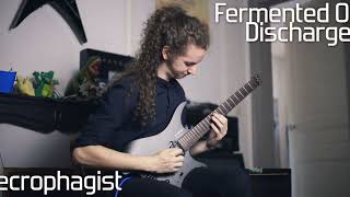 Necrophagist  Fermented Offal Dischagre solo cover [upl. by Aneelahs]