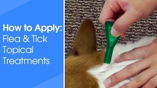 How to Apply Flea amp Tick Topical Treatments [upl. by Hough]