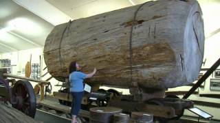 The Kauri Museum Matakohe Northland New Zealand  1 min 3 secs [upl. by Nadya]