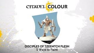 Tips amp Tricks Disciples of Tzeentch Flesh [upl. by Kolodgie]