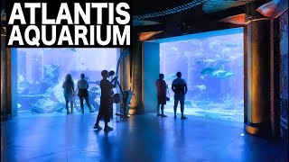 ATLANTIS  The Lost Chambers Aquarium Complete Tour  4K  Dubai Tourist Attraction [upl. by Ahsasal]