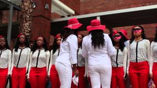 Lambda Psi Chapter of Delta Sigma Theta Sorority Inc Spring 2014 Probate [upl. by Yrrab]