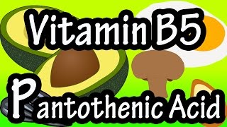 What Is Pantothenic Acid Vitamin B5  Foods High Functions Benefits Of Pantothenic Acid Vitamin B5 [upl. by Atonsah555]