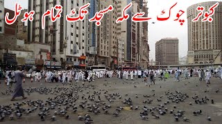 Hotels in Makkah Near Haram List  Cheap Hotels in Makkah Near Haram [upl. by Lynnett]