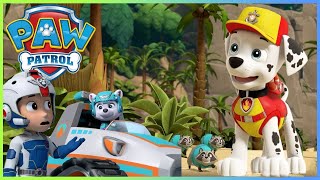 Aqua Pups and Sea Creatures team up to save the Whale Patroller  PAW Patrol  Cartoons for Kids [upl. by Ahsilac986]