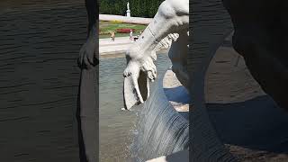 Had an amazing day visiting Schonbrunn PalaceVienna Do not miss Neptune Fountain shorts austria [upl. by Carbo]