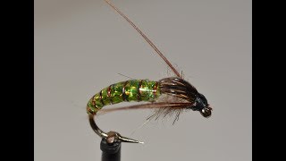 The Serial Killer Caddis pupa [upl. by Aehsan]