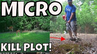 Learn How To Make A Food Plot With No Equipment [upl. by Reinaldo]