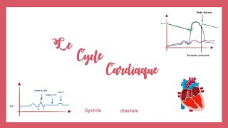 Le cycle cardiaquela pompe cardiaque Physiologie cardiovasculaire [upl. by Yaresed890]