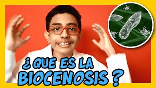 QUE ES la BIOCENOSIS  ►  Por fin bien explicado [upl. by Bouley]