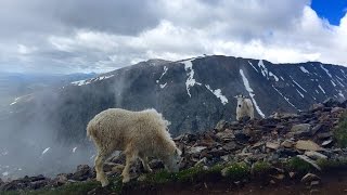 Quandry Peak  Colorado 14er Dayhike [upl. by Aicilet]