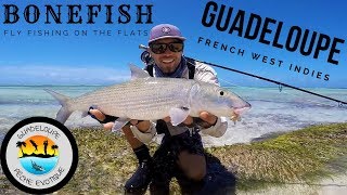 Fishing BONEFISH from GUADELOUPE  French West Indies [upl. by Childers]