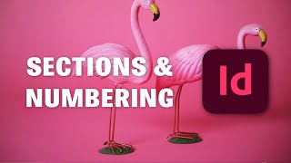 SECTIONS AND NUMBERING  Indesign professional course [upl. by Nnitsuj739]