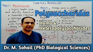 Polysaccharides  Complex Carbohydrates  Homopolysaccharide [upl. by Nolyk]