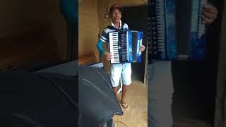 VALMIRZINHO DO ACORDEON AO VIVO [upl. by Hadias]