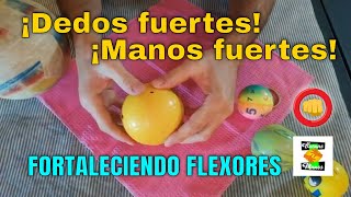 DEDOS y MANOS FUERTES Ejercicios flexores [upl. by Anar]