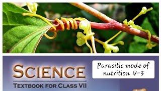 Nutrition In Plants  class 7  V 3 Digital Science with Himani [upl. by Hairu124]