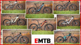 EINS für ALLES Vergleichstest Wer baut das BESTE EMountainbike 2021 [upl. by Emirak]