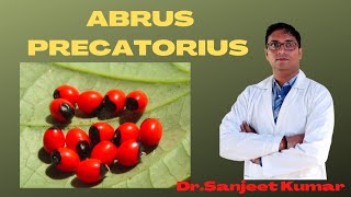 Tutorial 46ABRUS PRECATORIUS [upl. by Ilatfen858]