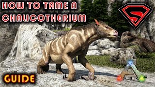 ARK HOW TO TAME A CHALICOTHERIUM 2019  EVERYTHING YOU NEED TO KNOW ABOUT TAMING A CHALICOTHERIUM [upl. by Tommie]