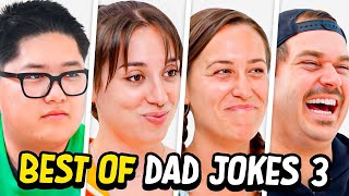 Dad Jokes  Dont laugh Challenge  Best Moments 3  Raise Your Spirits [upl. by Medwin917]