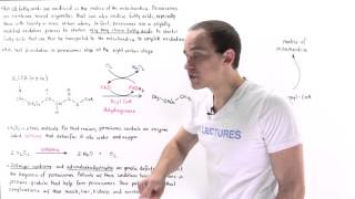 Peroxisomal Oxidation of Fatty Acids [upl. by Notsirhc700]