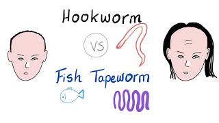 Hookworm vs Fish Tapeworm 🐟  Ancylostoma Necator vs Diphyllobothrium latum  Microbiology [upl. by Aerdua]