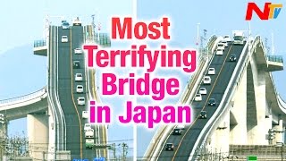 Japan Eshima Ohashi Bridge  Most Terrifying Bridge  NTV [upl. by Assenyl]