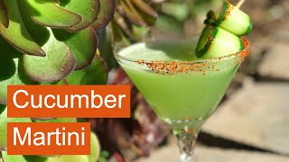 How to make the best CUCUMBER MARTINI  easy vodka recipe  Cucumber cocktail [upl. by Ydnas314]