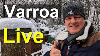 Live 😊 Varroa Winterbehandlung bei den Bienen Euch einen schönen besinnlichen 1 Advent [upl. by Dieter]