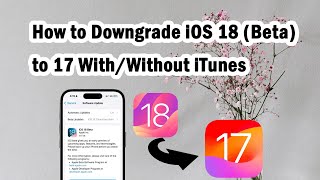 Try This Way to Downgrade iOS 18 to iOS 17 in 5 Minutes Without iTunes [upl. by Nirak]