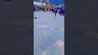 Kedarnath Darshan Jai Shree Kedarnath 🙏 Har Mahadev 🙏youtubeshorts travel [upl. by Lusar]