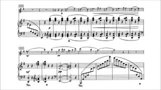 Edvard Grieg  Violin Sonata No 2 Op 13 With score [upl. by Aidnahs637]