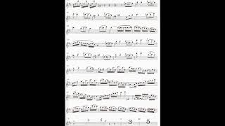 SMercadante POLACCA from Flute Concerto D duraccompaniment [upl. by Evelc]