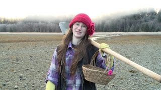 Alaskan Bush Tours Snowbird Digs for Clams [upl. by Arlynne]