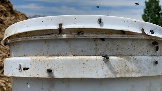 Farm Fly Traps That Work EVERY YEAR [upl. by Natika]