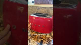 Toast in Style SMEG Toaster 2 Year Review [upl. by Sterrett]