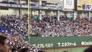 Crazy Japan Baseball Fans [upl. by Landau]