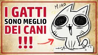 13 motivi per cui I GATTI SONO MEGLIO DEI CANI [upl. by Eerej299]