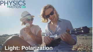 Light Polarization  Physics in Motion [upl. by Cirtemed]