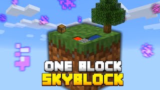 Minecraft Skyblock But You Only Get ONE BLOCK [upl. by Castra]